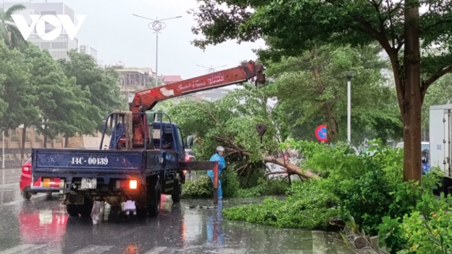 Storm Prapiroon dumps heavy rain across northern localities after landfall